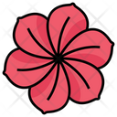 پیش‌نمایش فایل flower-4521644 از پک شکرگزاری، جلد ۱