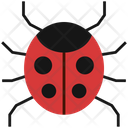 پیش‌نمایش فایل bug-4522065 از پک شکرگزاری، جلد ۲