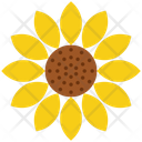 پیش‌نمایش فایل flower-4522062 از پک شکرگزاری، جلد ۲