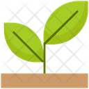 پیش‌نمایش فایل plant-4522026 از پک شکرگزاری، جلد ۲