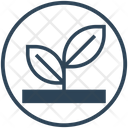 پیش‌نمایش فایل plant-4521926 از پک شکرگزاری، جلد ۲