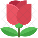 پیش‌نمایش فایل flower-4622934 از پک سال نو مبارک، جلد ۲