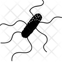پیش‌نمایش فایل bacteria-1609631 از پک حصبه