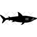 پیش‌نمایش فایل shark-1649363 از پک غواصی اسکوبا