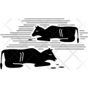 پیش‌نمایش فایل pestilence-2665884 از پک بلاهای مصر