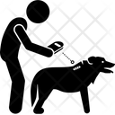 پیش‌نمایش فایل check-dog-identity-3543249 از پک لوازم سگ