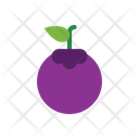 پیش‌نمایش فایل blueberries-1515256 از پک میوه‌ها