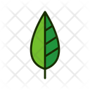 پیش‌نمایش فایل leaf-1515536 از پک برگ‌ها