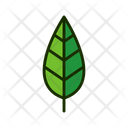 پیش‌نمایش فایل leaf-1515537 از پک برگ‌ها