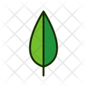 پیش‌نمایش فایل leaf-1515538 از پک برگ‌ها
