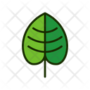 پیش‌نمایش فایل leaf-1515540 از پک برگ‌ها