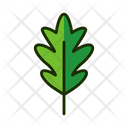 پیش‌نمایش فایل leaf-1515542 از پک برگ‌ها