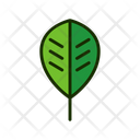 پیش‌نمایش فایل leaf-1515543 از پک برگ‌ها
