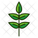 پیش‌نمایش فایل leaf-1515544 از پک برگ‌ها