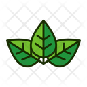 پیش‌نمایش فایل leaf-1515546 از پک برگ‌ها
