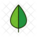 پیش‌نمایش فایل leaf-1515547 از پک برگ‌ها