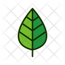 پیش‌نمایش فایل leaf-1515548 از پک برگ‌ها