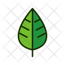 پیش‌نمایش فایل leaf-1515549 از پک برگ‌ها