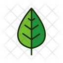 پیش‌نمایش فایل leaf-1515550 از پک برگ‌ها