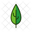 پیش‌نمایش فایل leaf-1515551 از پک برگ‌ها
