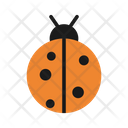 پیش‌نمایش فایل bug-1522410 از پک بهار