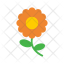 پیش‌نمایش فایل flower-1522407 از پک بهار