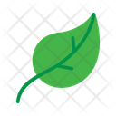 پیش‌نمایش فایل leaves-1522406 از پک بهار