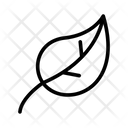 پیش‌نمایش فایل leaves-1522401 از پک بهار