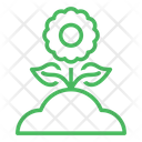 پیش‌نمایش فایل flower-1522129 از پک اکولوژی
