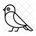آیکن
