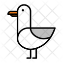 پیش‌نمایش فایل albatross-1521938 از پک پرندگان