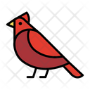 پیش‌نمایش فایل bulbul-1521953 از پک پرندگان
