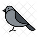 پیش‌نمایش فایل crow-1521951 از پک پرندگان