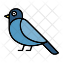 پیش‌نمایش فایل dove-1521950 از پک پرندگان