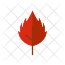 پیش‌نمایش فایل leaf-1521720 از پک لیف پاییز