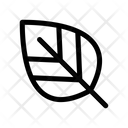 پیش‌نمایش فایل leaf-1549254 از پک برگ