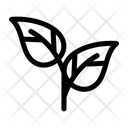 پیش‌نمایش فایل leaf-1549265 از پک برگ