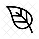 پیش‌نمایش فایل leaf-1549266 از پک برگ