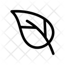 پیش‌نمایش فایل leaf-1549267 از پک برگ