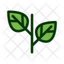 پیش‌نمایش فایل leaf-1549238 از پک برگ