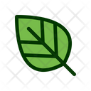 پیش‌نمایش فایل leaf-1549239 از پک برگ