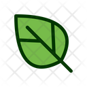 پیش‌نمایش فایل leaf-1549240 از پک برگ