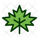 پیش‌نمایش فایل leaf-1549244 از پک برگ