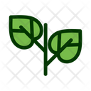 پیش‌نمایش فایل leaf-1549246 از پک برگ