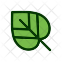 پیش‌نمایش فایل leaf-1549247 از پک برگ
