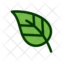 پیش‌نمایش فایل leaf-1549251 از پک برگ