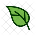 پیش‌نمایش فایل leaf-1549252 از پک برگ