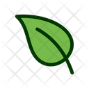 پیش‌نمایش فایل leaf-1549253 از پک برگ