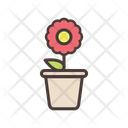 پیش‌نمایش فایل flower-plant-1548058 از پک باغبانی