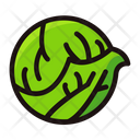 پیش‌نمایش فایل cabbage-1569132 از پک سبزیجات